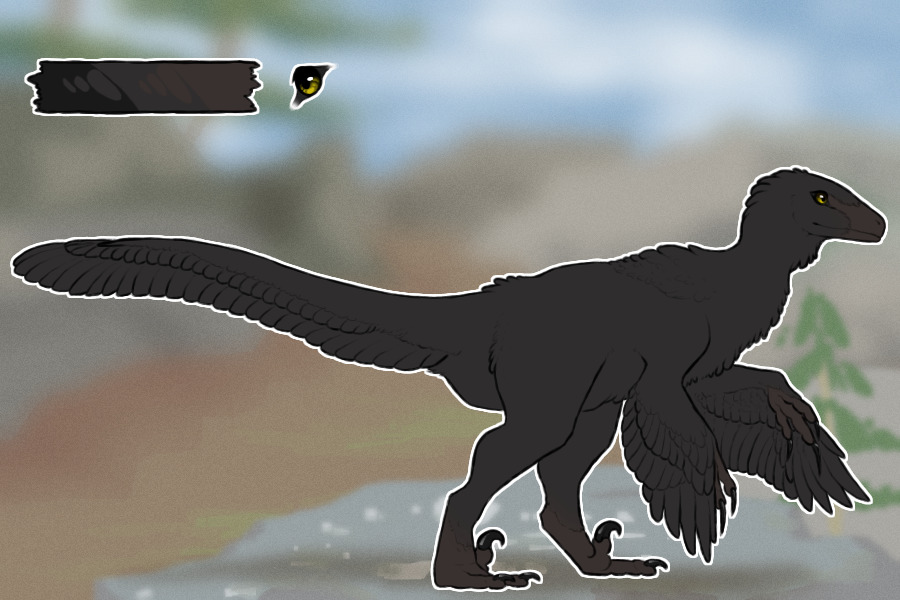 utahraptor - light interest check