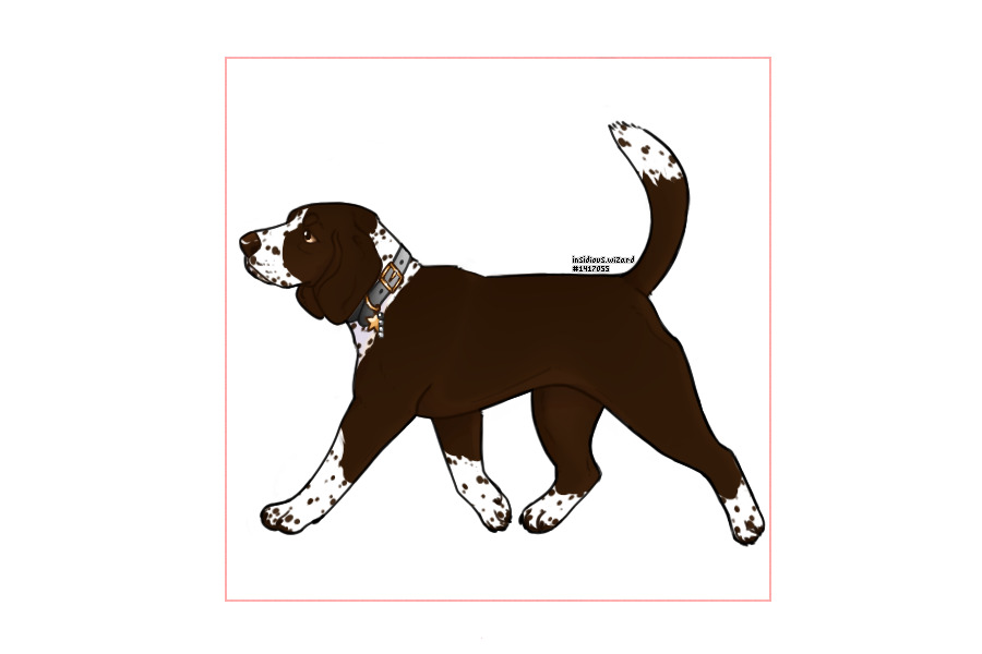 Take me to the parliament of fools