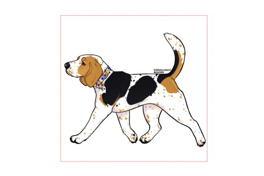 Take me to the parliament of fools