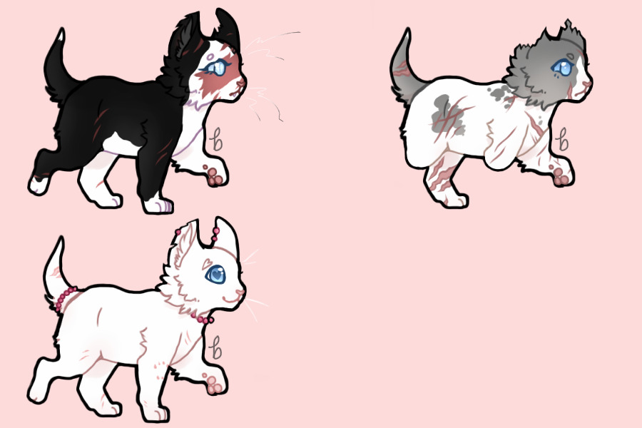 Stars Breeding #1054 | Cloudstar x Pandora