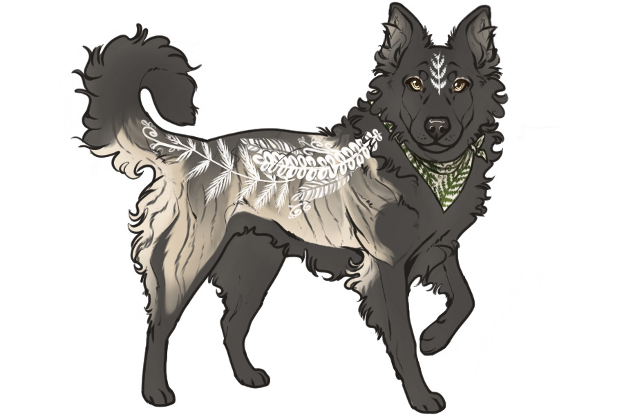 Beaumont Collie Custom #2354