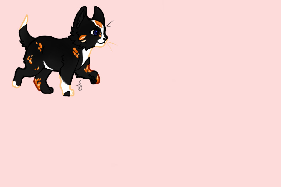 Stars Breeding #1058 | Sunfur x Blacktoe