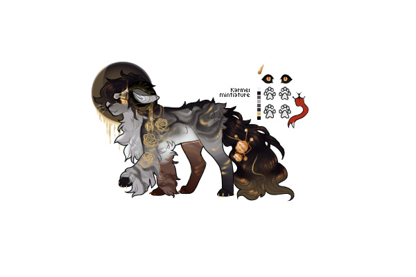 dark side of the moon