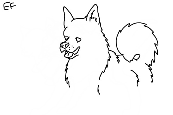 Dog?