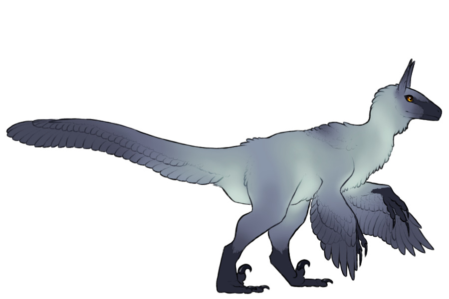 Cedar Mountain Raptors - #001 - Transparent