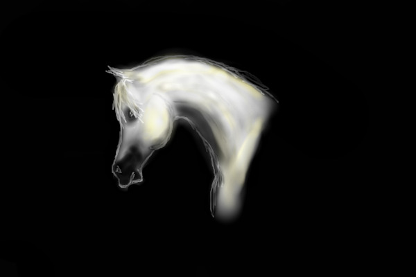 White Arabian