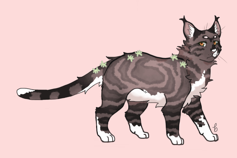 Stars MYO Event 6 - #031