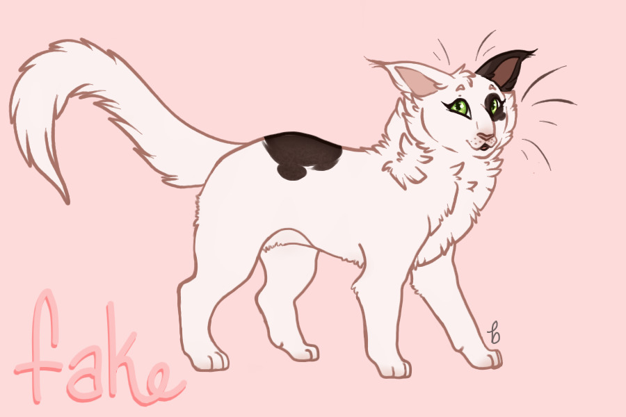 Jan Entry 4: high white chocolate ticked tabby