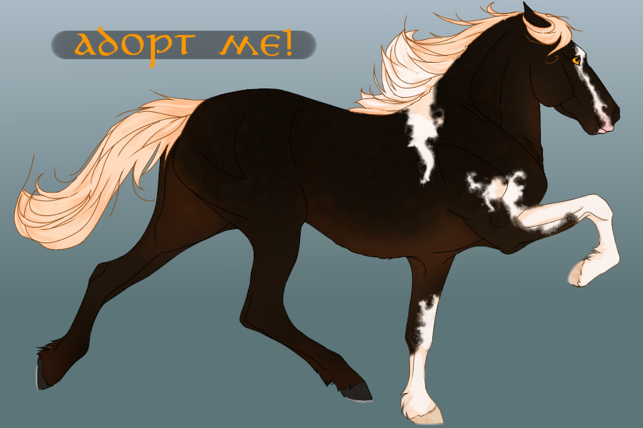 TITA | #0204 - Flaxen Black Chestnut Tobiano
