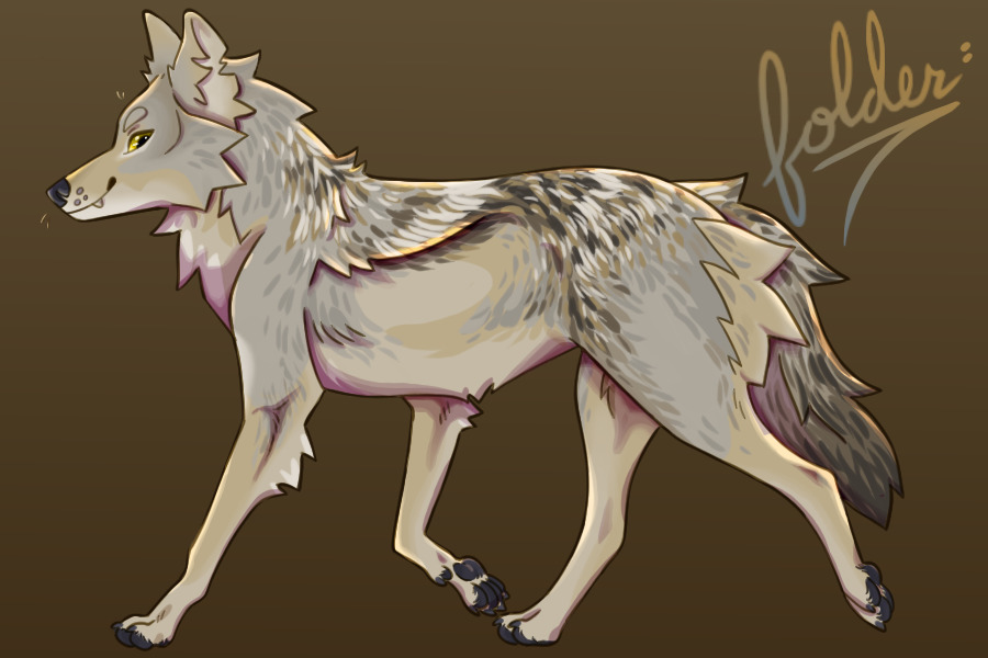 Coyote colors