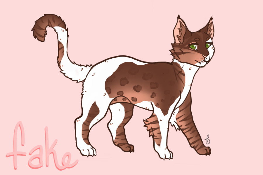 Stars Artist Entry 2