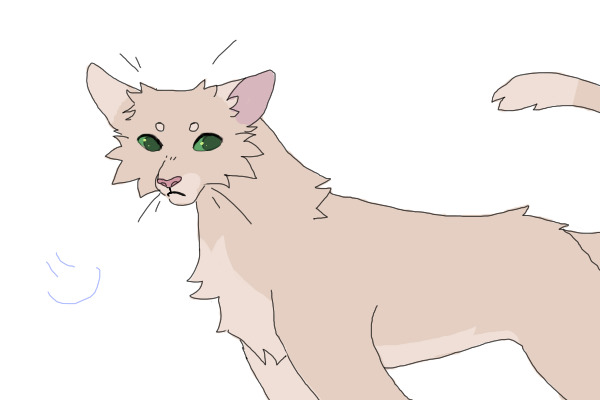 kitty