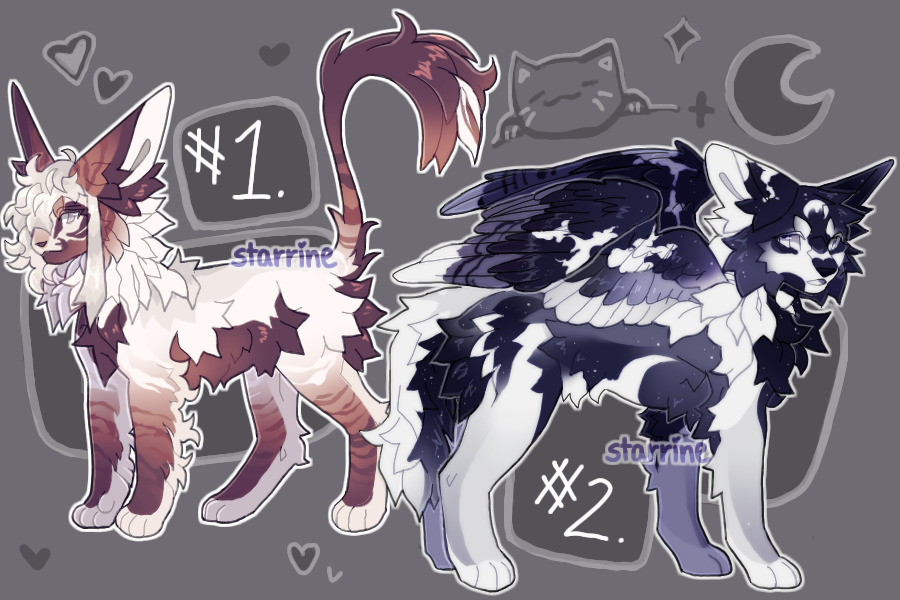 misc adopts closed