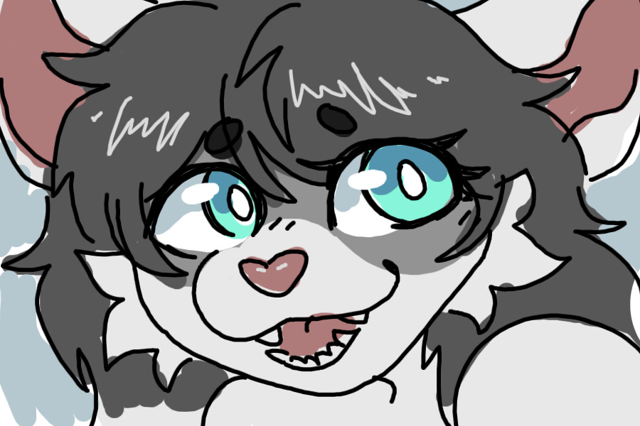 Raccoon