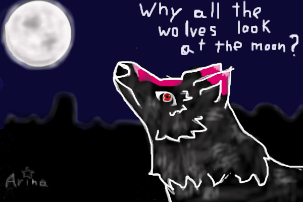 Wolf looking at the moon ( for competition )