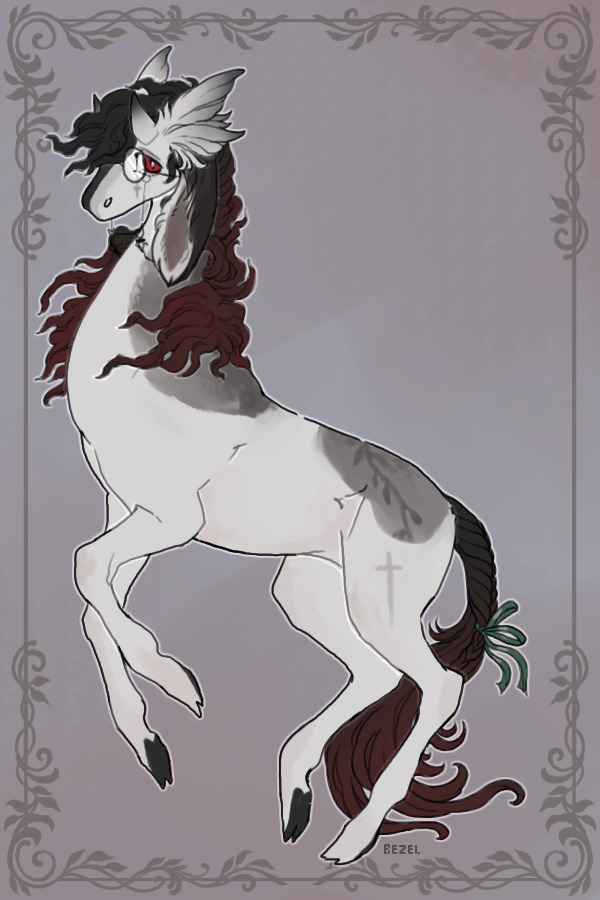 Alpaca #272