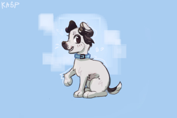 token comm | christainanimallover