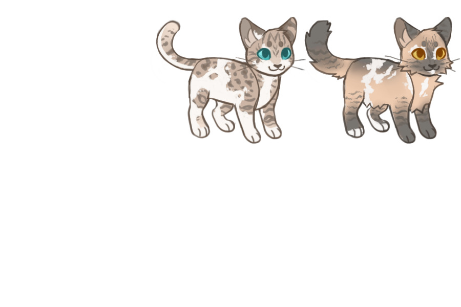 my babies