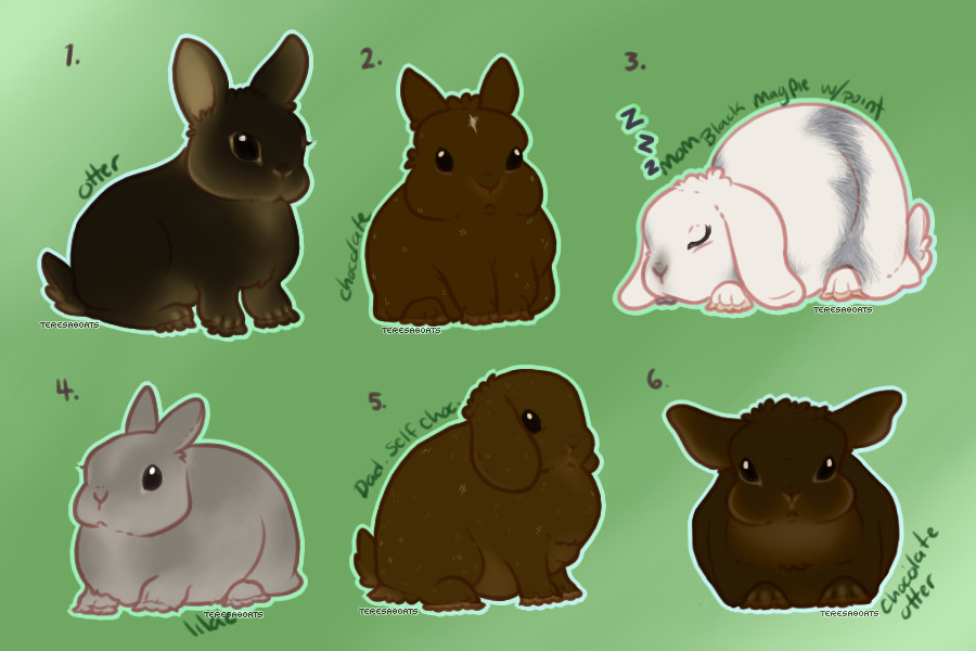 Rabbit litter- BeanXClover #1