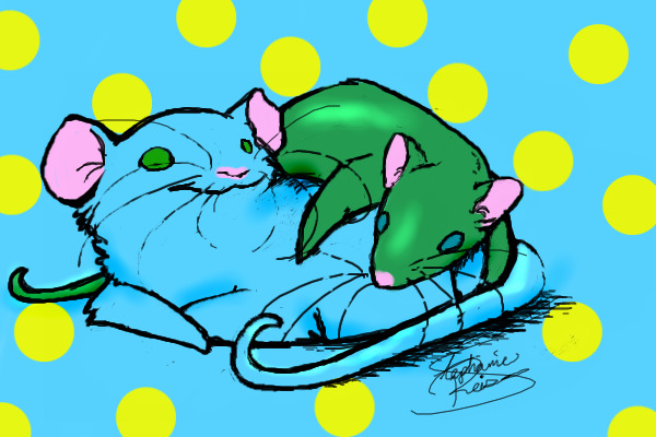 Ratties :3