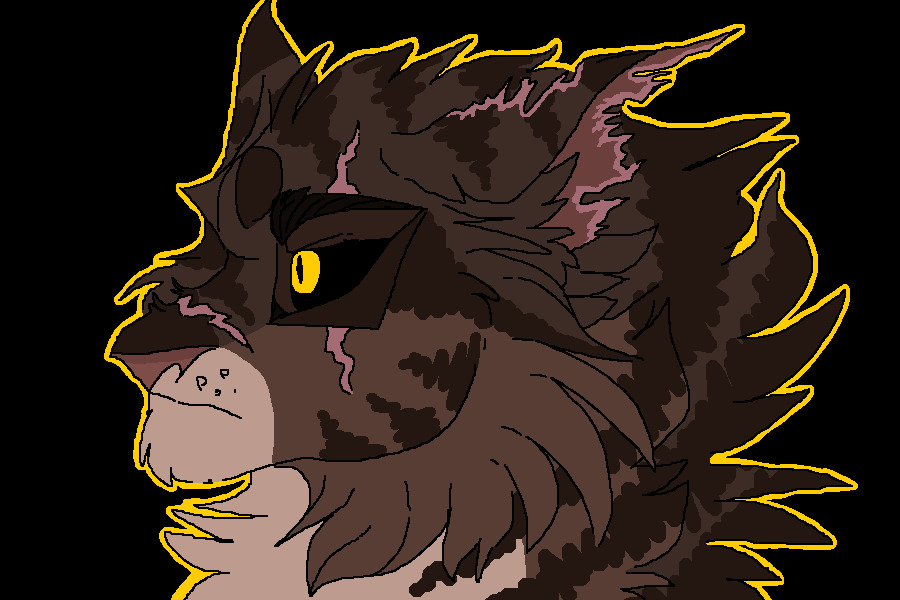 tigerstar