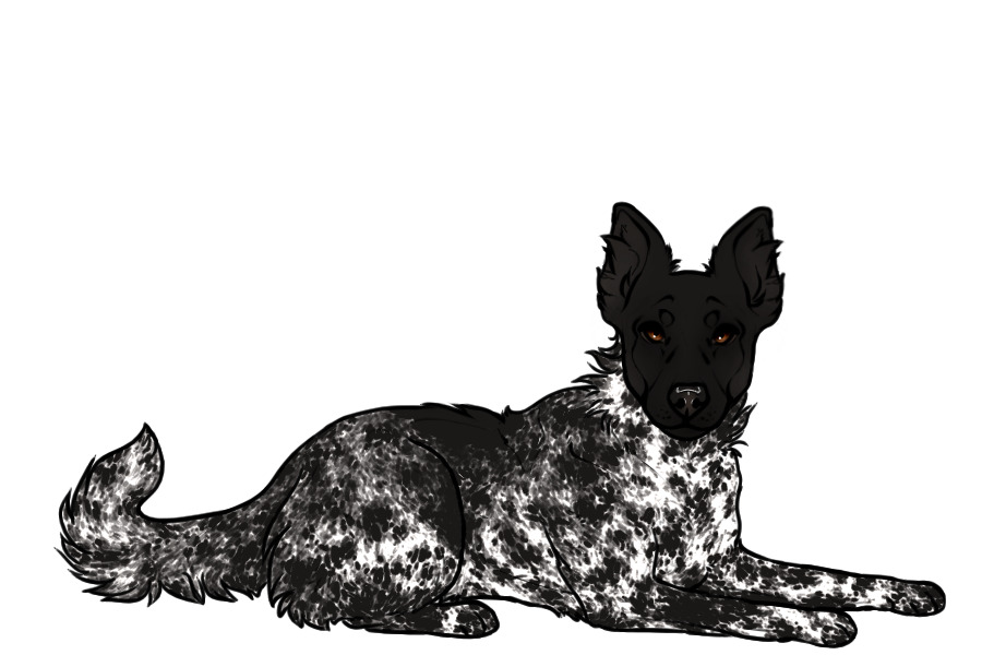 Beaumont Lounging Collie #1425