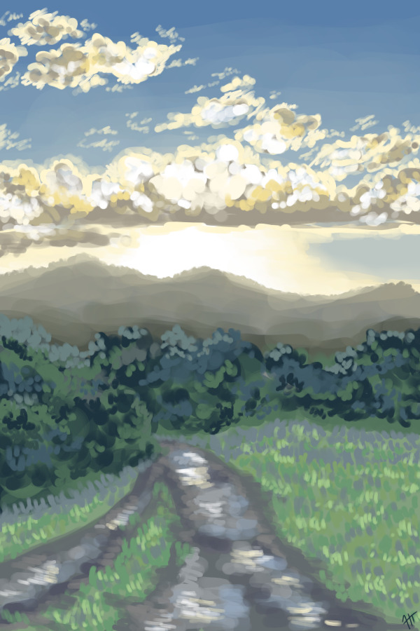 hiking trail