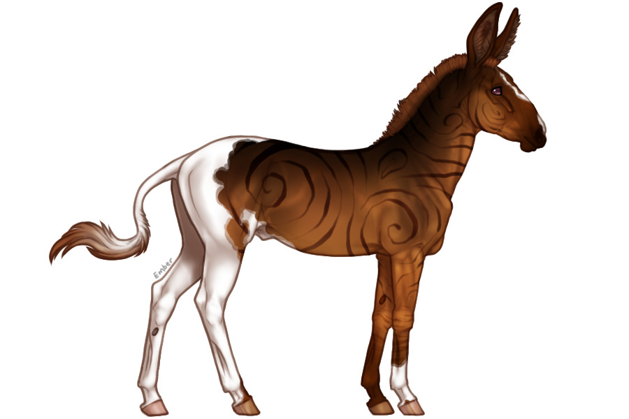 Senegal Zebra Adopt #1026