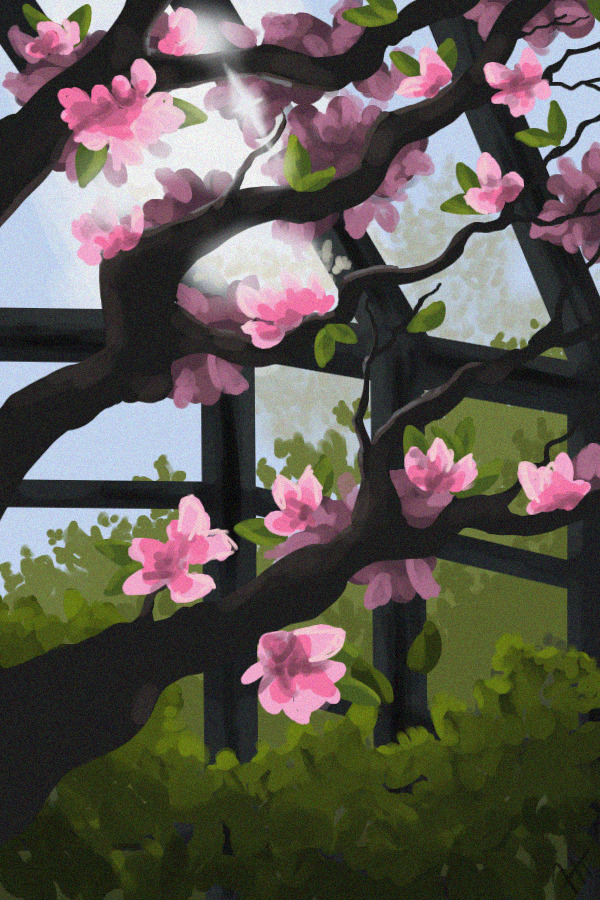 greenhouse