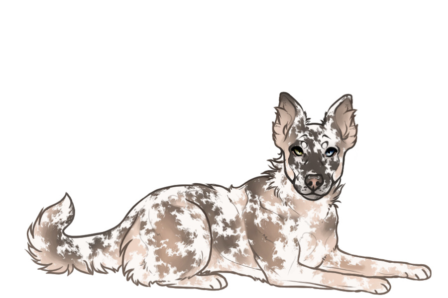 Beaumont Lounging Collie #1449