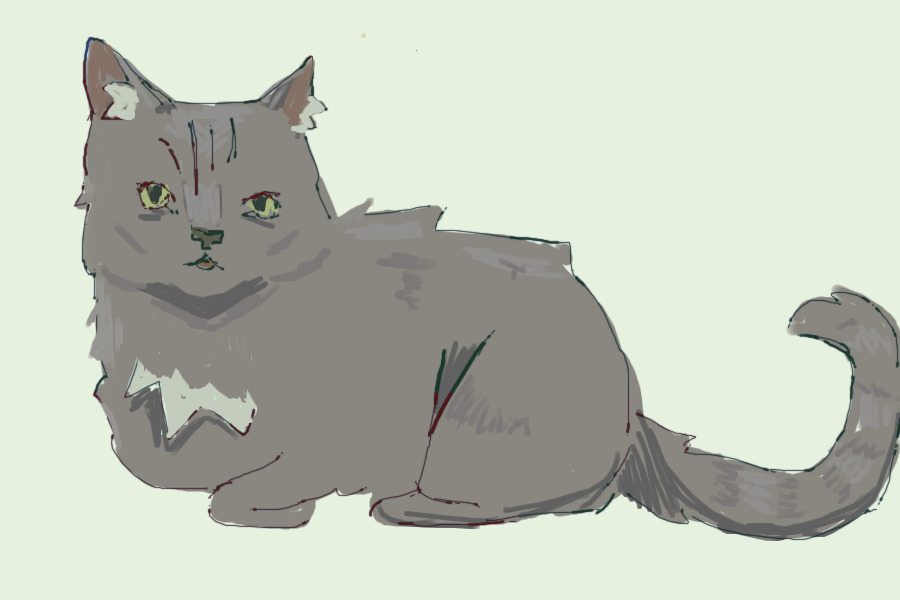 Kitty