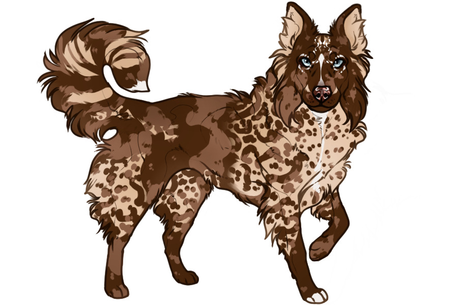 Beaumont Collie Custom #762 - Itemless