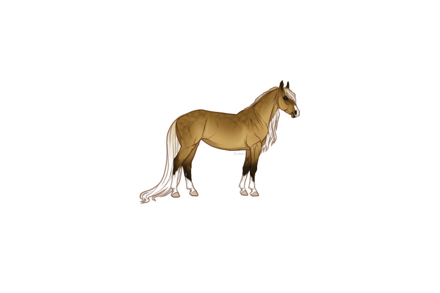 Silver Sooty Buckskin