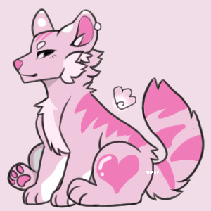 Valentine tiger dog adopt