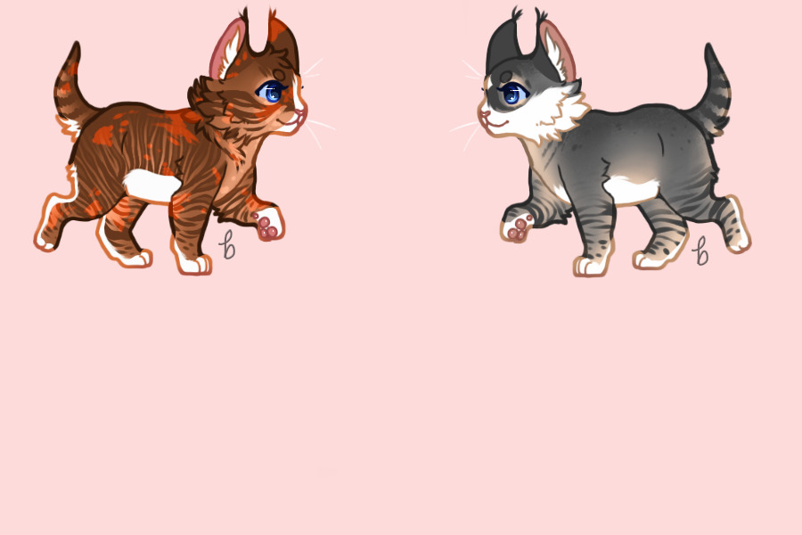 Stars Breeding #1167 | Sein x Tamino