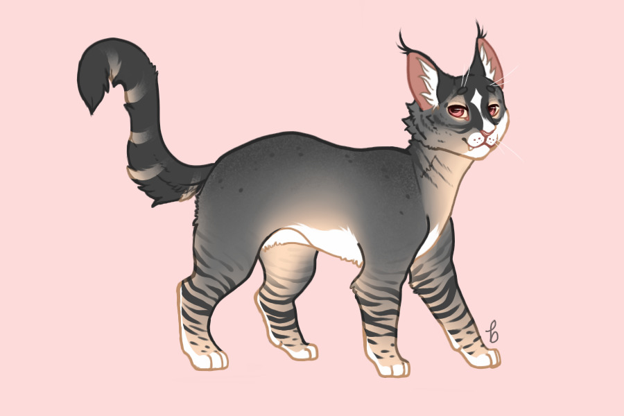 Stars Breeding #1167 | Kit 2 Growth