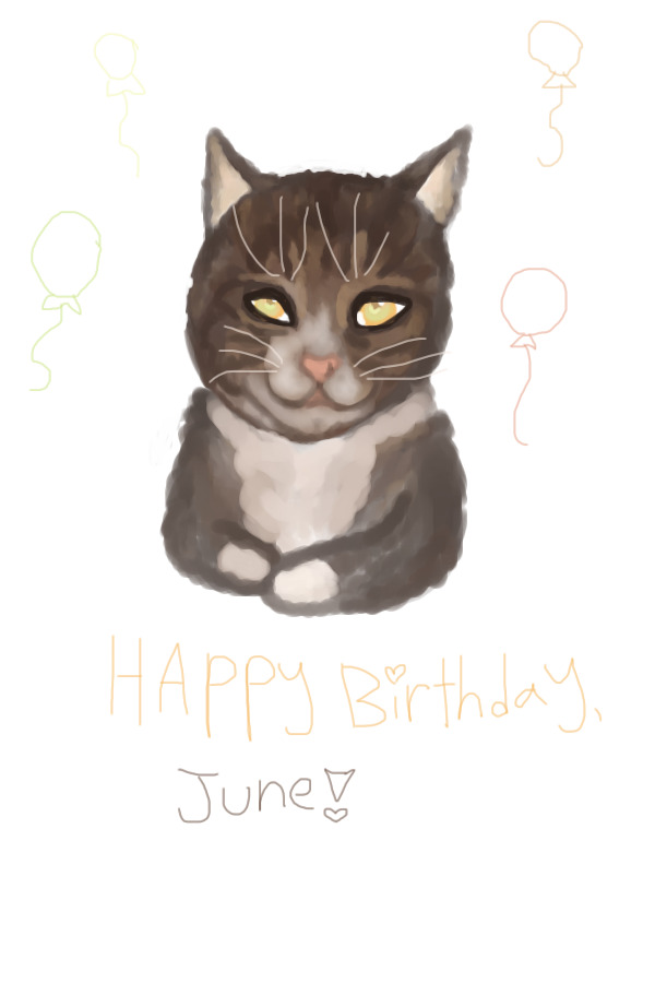 its my irl cats birthday