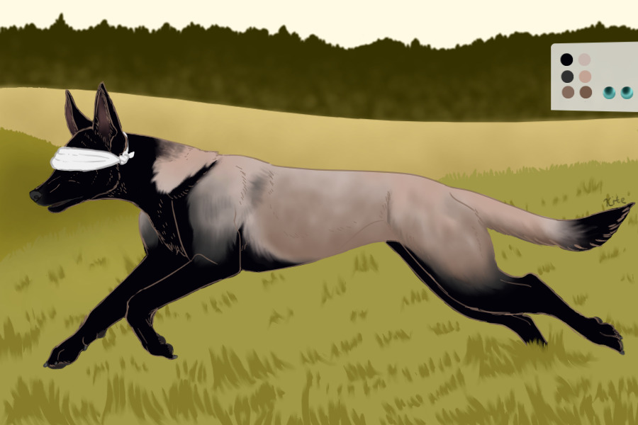 HOWL Founder #15