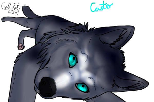 Caster (: