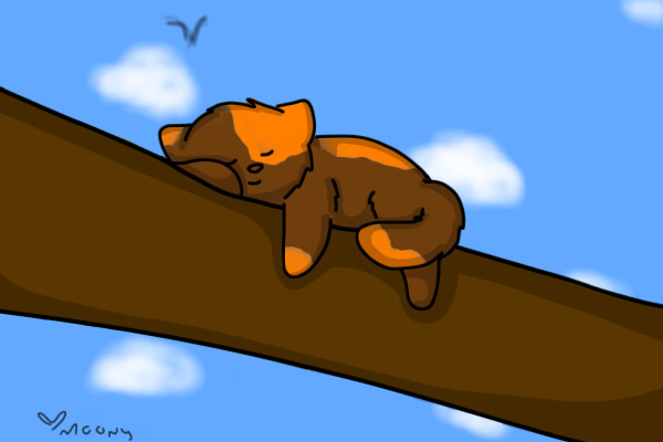 Dozing off in a tree