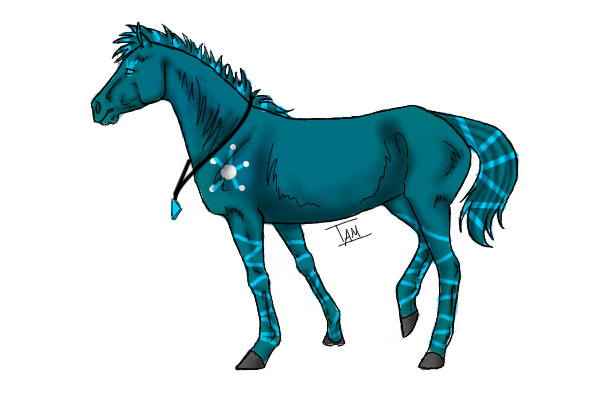 Horse 10.