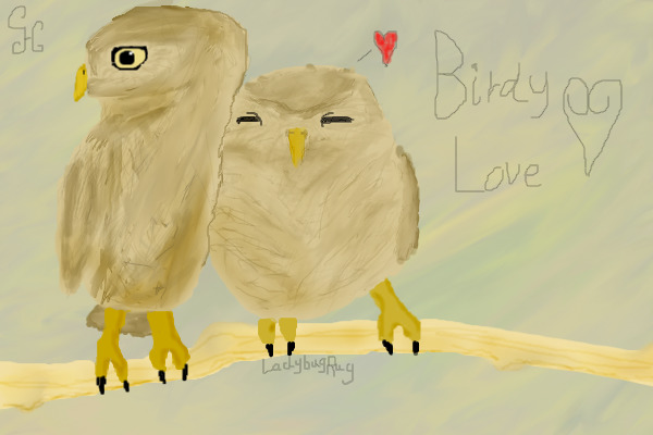 Birdy Love <3