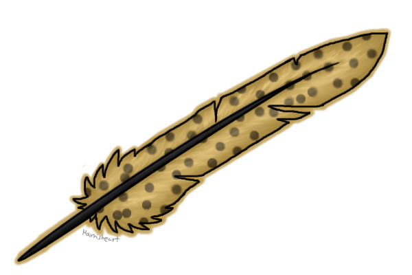 Muse Feather