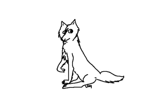 wolf editable