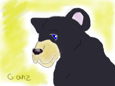 Little Bear Cub