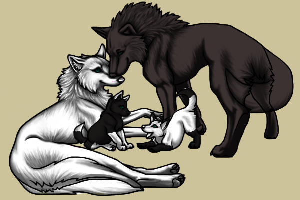 Wolf family! =)