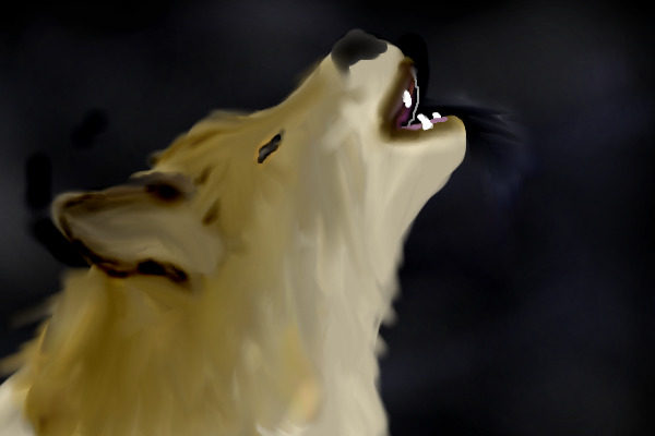 wolf