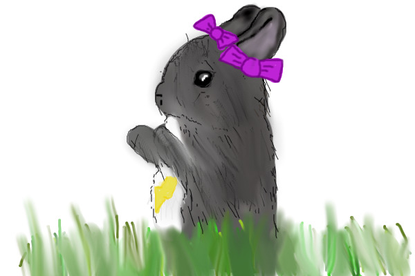 bunny!