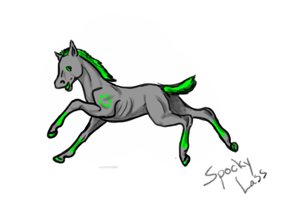 Foal