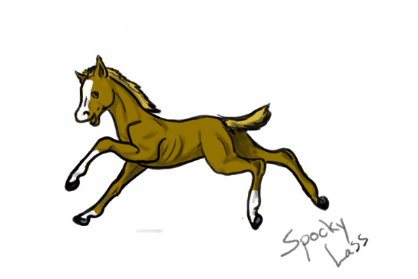 Cestnut Filly with Blaze